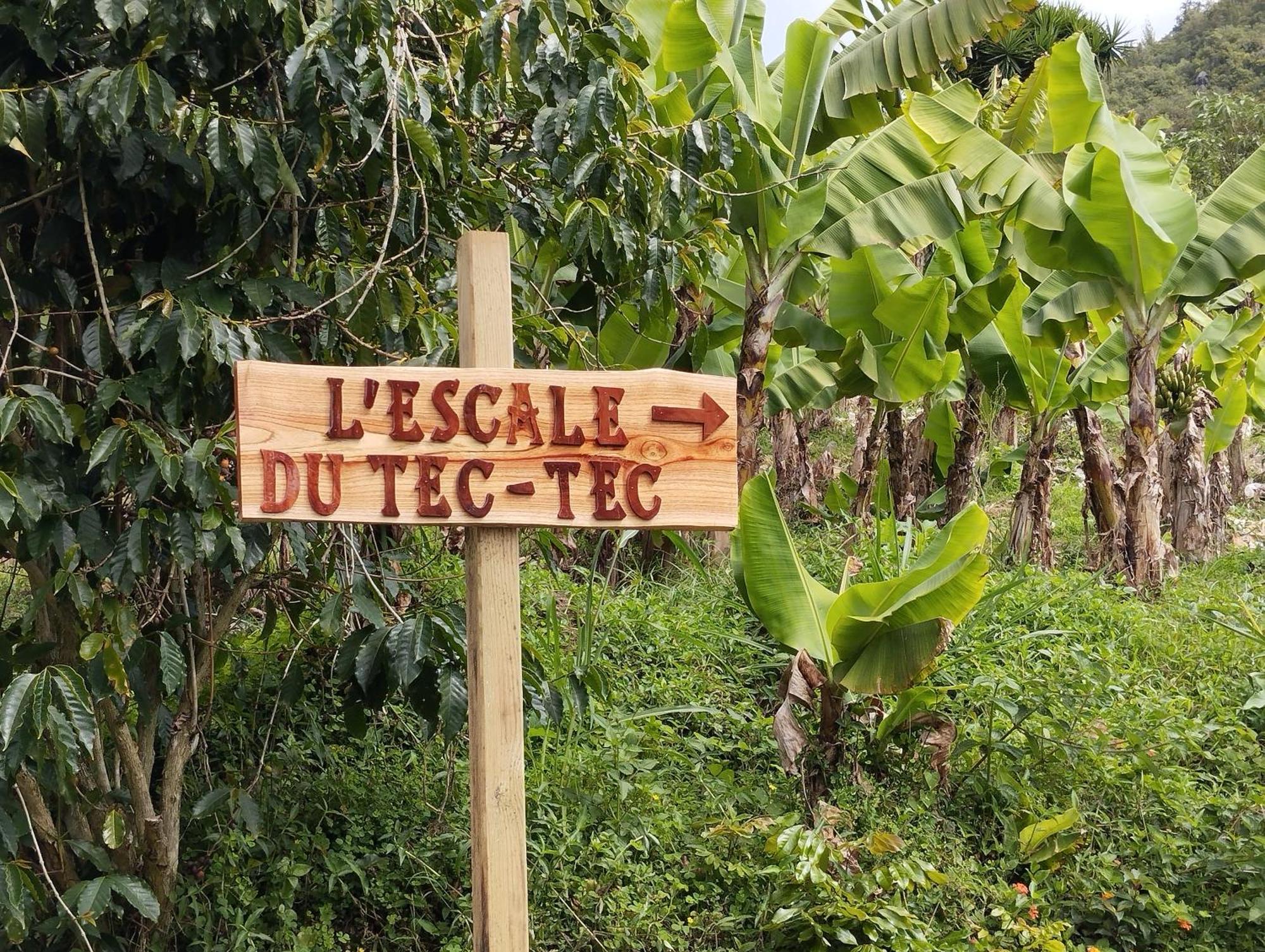 Villa L'Escale Du Tec-Tec Salazie Esterno foto